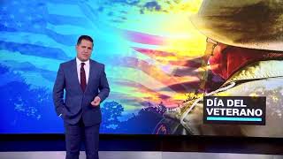 Veterans Day Interview