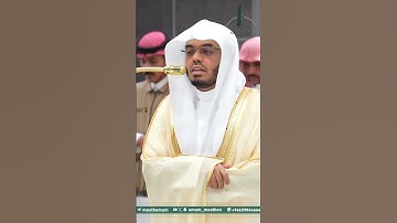 تلاوة بديعة للشيخ ياسر الدوسري