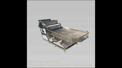 walnut groundnut kernel cashew peanut crushing herb almonds cutting nut chopping machine