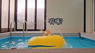 가평｜하이몽 애견 풀빌라 펜션🐶
