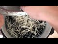 Dying and sorting Porcupine quills