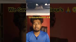 kindly Share to Your l friends🙏 #newsong #games #drawing #pets #live #cute #dog #dogs #pets