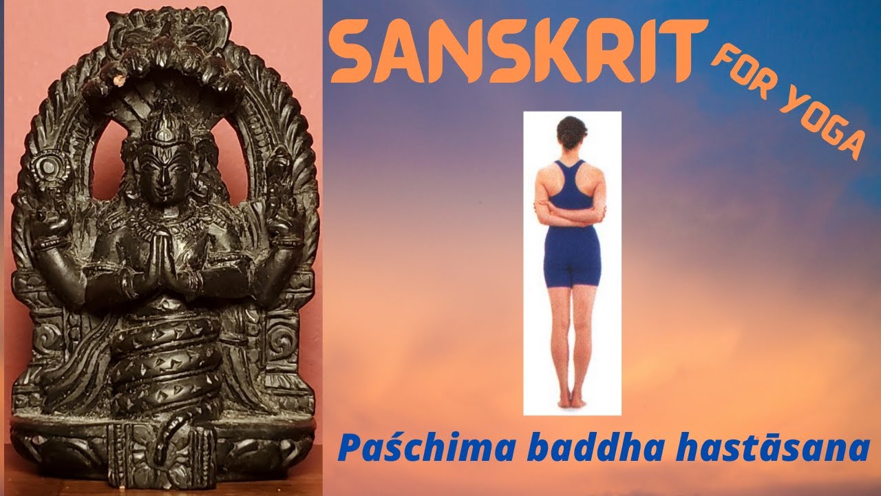 Paśchima baddha hastāsana: bound arms behind the back. Learn & pronounce  Sanskrit for yoga poses. 