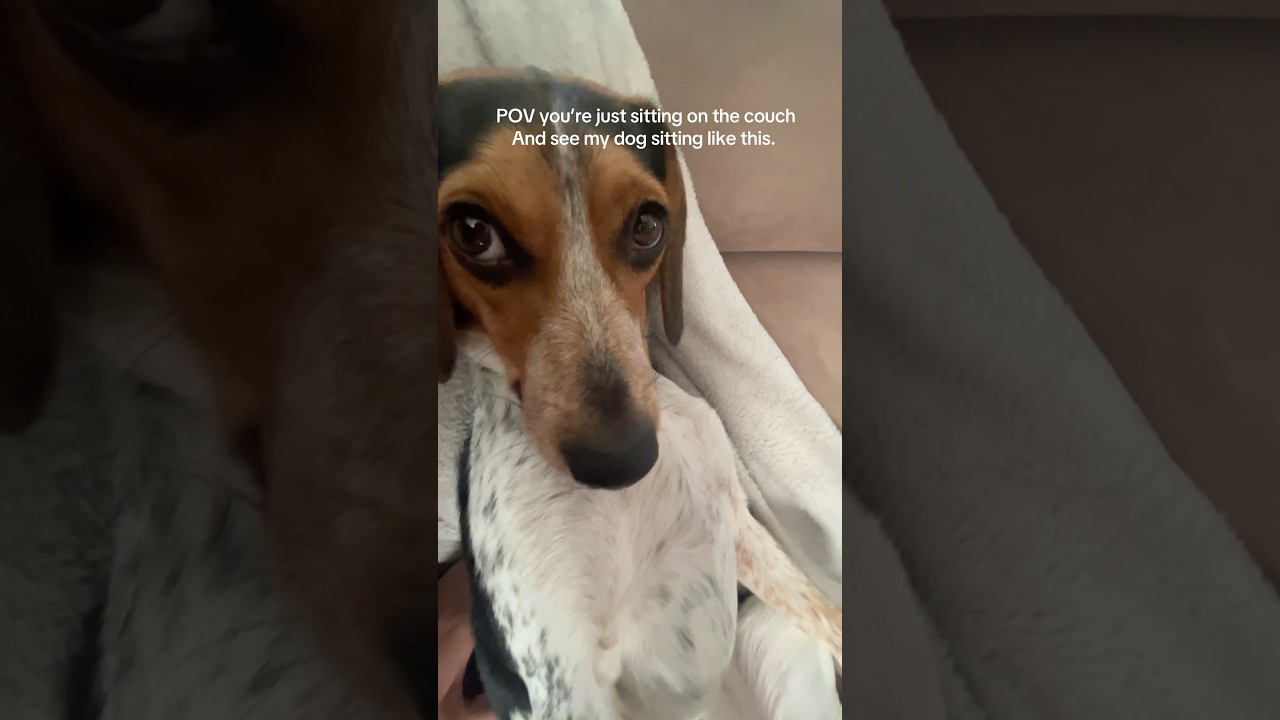 Ahaha 😭 #relatable #shorts #funny #wearebeyondtpas