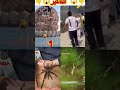 Allah Makkah Madina Status Shortvideo Shortsfeed Tiktok Tiktokvideo Islamicstatus