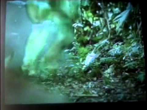 Predator - Jungle Fight Scene - Gatling gun & others mow down the jungle.