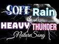 Soft rain and heavy thunder sounds for sleeping | 10 hours | black screen