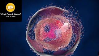Cell | The Basic Unit Of Life | Biology | By What Does It Mean?
