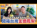 【北美搞蝦密】挺叻挺叻｜在加拿大能吃到台灣鳳梨也太幸福了吧｜初到港金鑽鳳梨評測