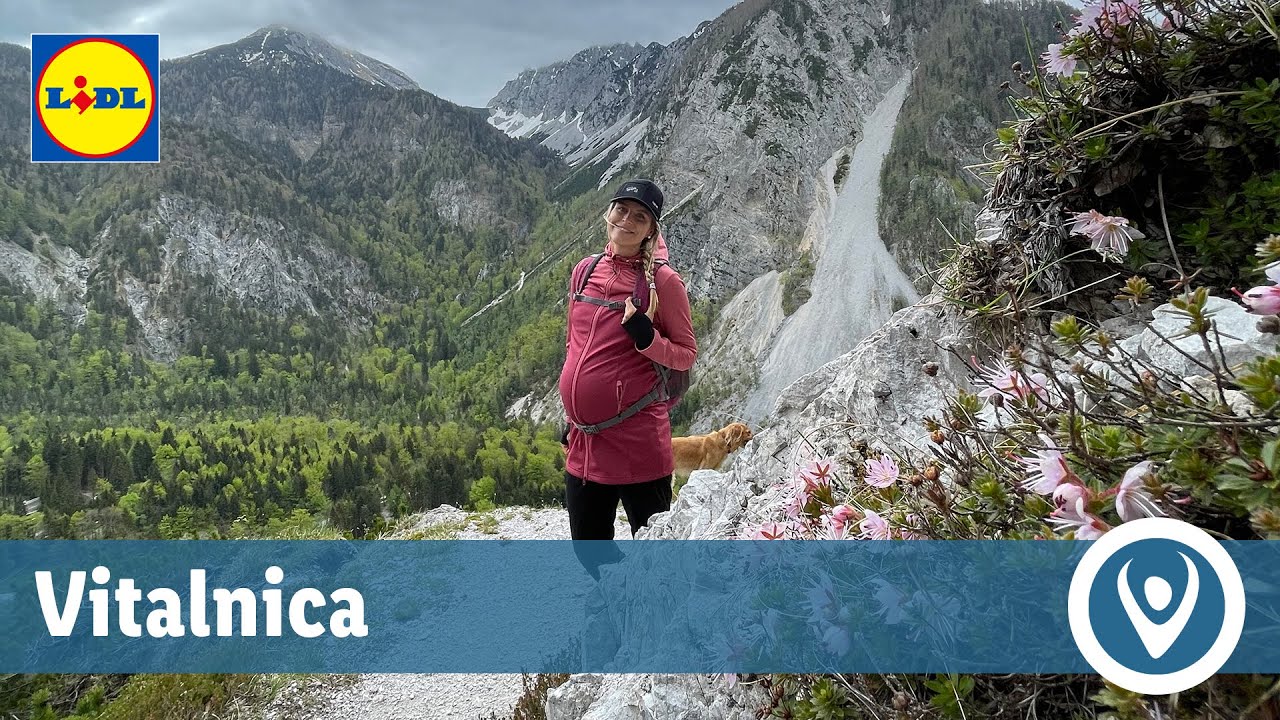 Lidlova Vitalnica: nosečkam prijazen izlet (po Bornovi poti na Planino Prevala)