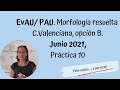 Morfología resuelta EvAU / PAU Valencia Junio 2021, opción B. Práctica10