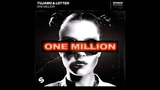 Video thumbnail of "Tujamo & LOTTEN - One Million"