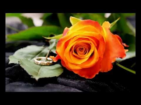 ჩემი სლაიდშოუ