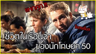 Cool Hand Luke - ติดคุก 3 ปีแหกคุก 2 ครั้งเพราะแม่ตาย [สปอยยับ] 1967