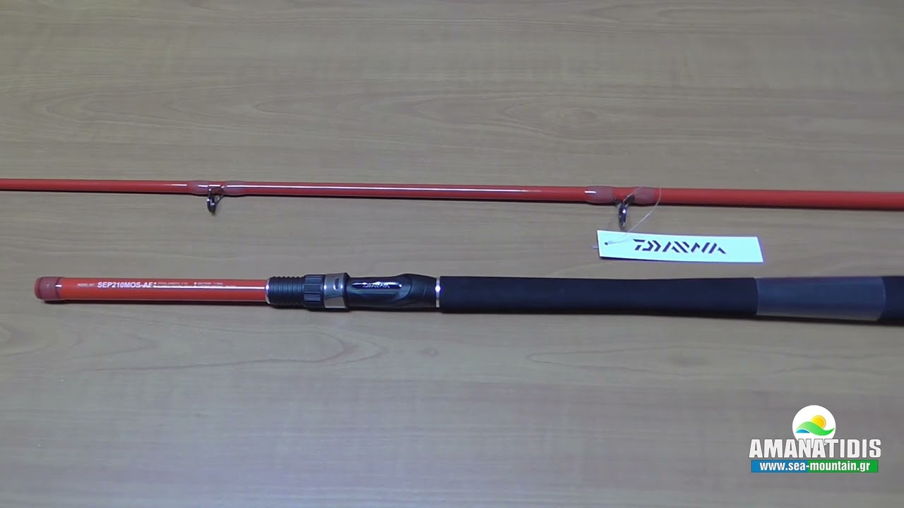 ΚΑΛΑΜΙ DAIWA SENSOR PALANGROTTE