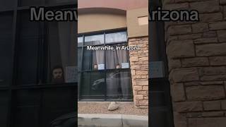 Meanwhile, in Arizona 🏜 #sportsclips