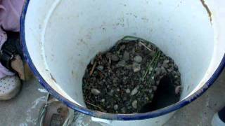 Kisvakond A Vödörben