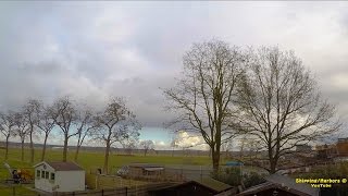 Cutting Down Tree | Timelapse
