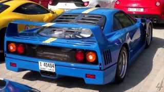 A unique ferrari f40 finished in azzurro dino livery, starting up its
twin-turbocharged v8 engine and accelerating away with group of
ferraris.