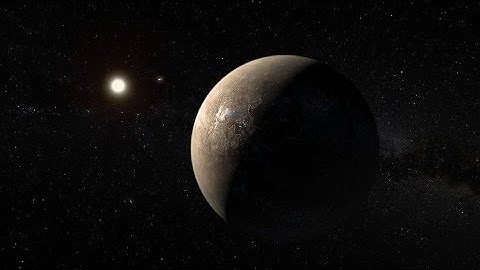 Proxima b: Our First Step Beyond