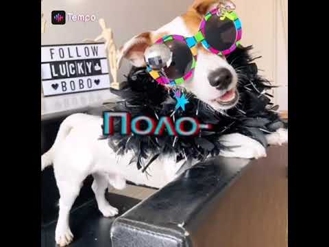 ??