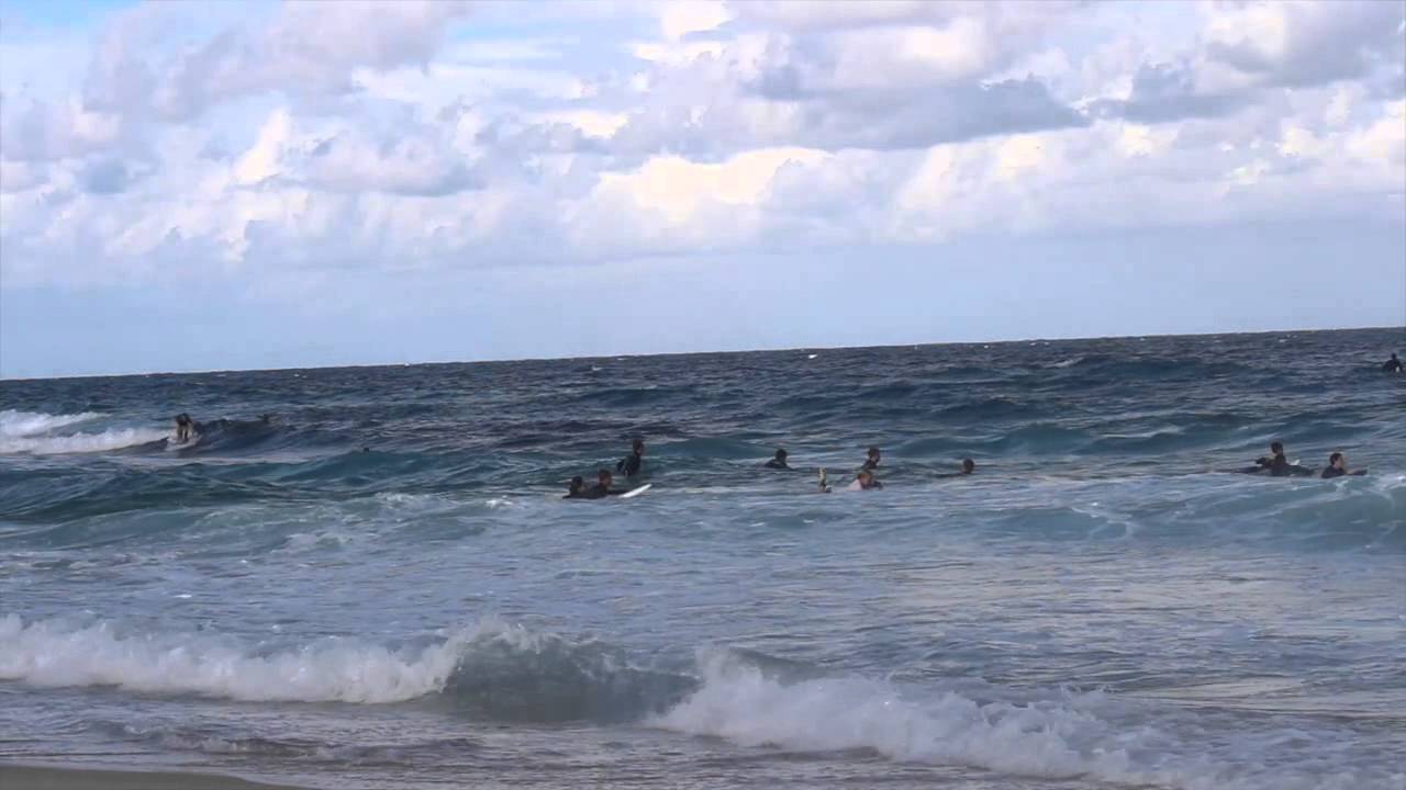 shark conservation foundation WSV Interviews: Christopher Neff on Modeling Bad Behavior