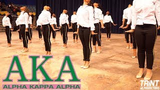 Alpha Kappa Alpha Sorority, Inc | Beta Psi Chapter | New Initiate Presentation