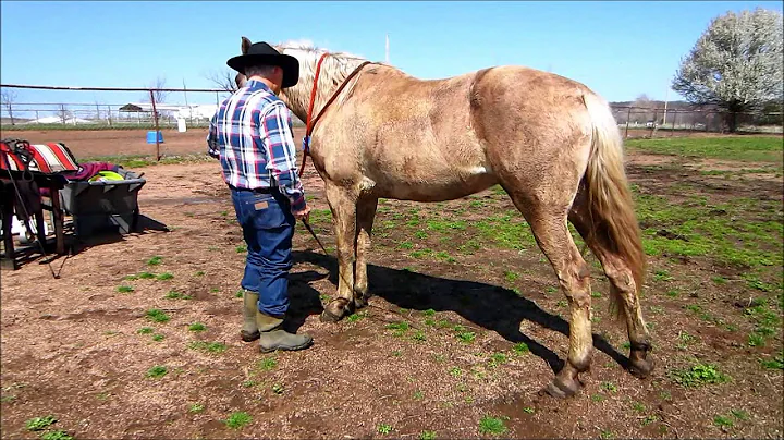 Candy's training - Ron Choate