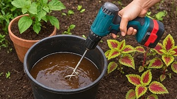 How to Easily Make Compost Extract for a Healthier Garden