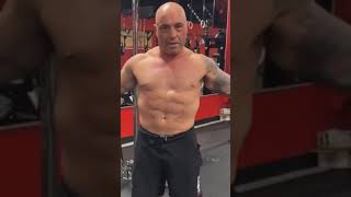 Joe Rogan Incredible Body Transformation