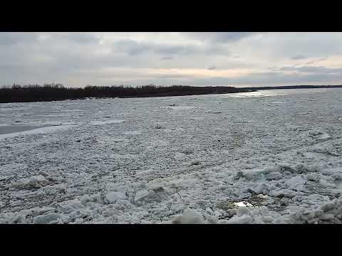 Видео: Ледоход на Оке 29.03.2023.2