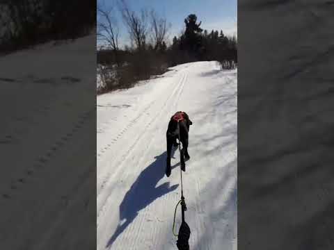 Video: Snowshoe and cross-country դահուկներ Նյու Հեմփշիրում