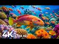 Marvel at Sea Animal in The Best 4K ULTRA HD Aquarium-Dive Into The Mesmerizing Underwater Realm #3