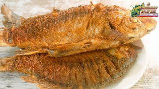 We fry DELICIOUS CARP, in wet breading, Recipes from fish from fisherman dv.27rus.