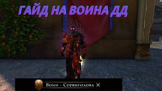 Гайд на воина дд ( воин - сорвиголова). Neverwinter online