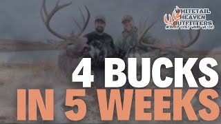 Client Shoots 4 Bucks In 5 Weeks | Multi-State Season Pass | Whitetail Heaven Outfitters