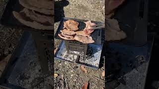 【ギアテスト】Firebox FreestyleStove + CHUMSブービーバード肉焼き鉄板でBBQ