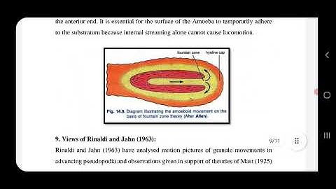 M.Sc Semi II Structures and function of invertebrates 29/7/21