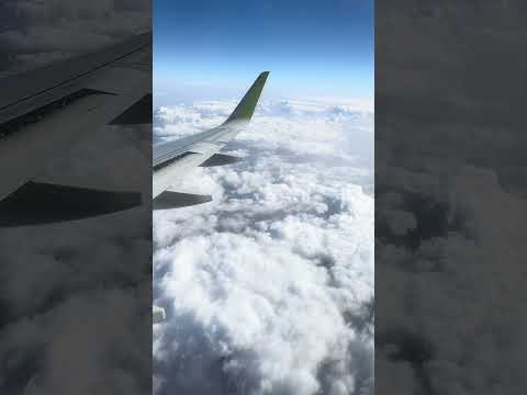 ياسبب فرحتي يامقاسمني سكتي اصاله احمد سعد عيد الحب  اكسبلور فولو  تايلند