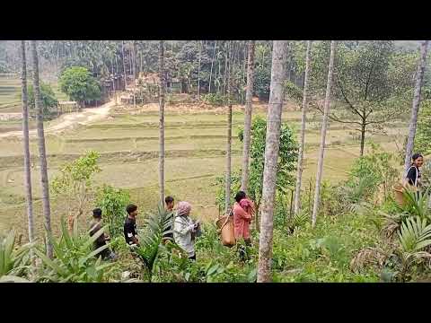 Chinga Da Alde Mondolini Gueko Kola