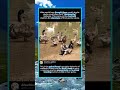 Shocking Mallard Behavior: The Brutal Truth About Duck Mating 馃#foryou #fyp #animals #funny