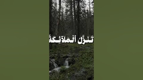 {قارئ محمد صديق المنشاوي} {سورة القدر} الأية3 #محمد_صديق_المنشاوي #المنشاوي #قران #quran #funny #fyp