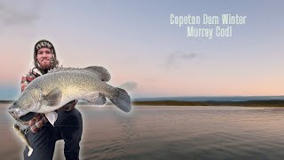 Winter Murray Cod! Impoundment Fishing!