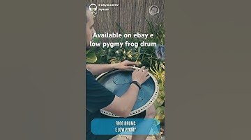 E low Pygmy frog drum #hang #handpan #percussion #ravvast #vibes #amazing #relaxingmusic #tankdrum