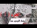 اقوال جوكر  مع لحن موت لاي لاي لاي   
