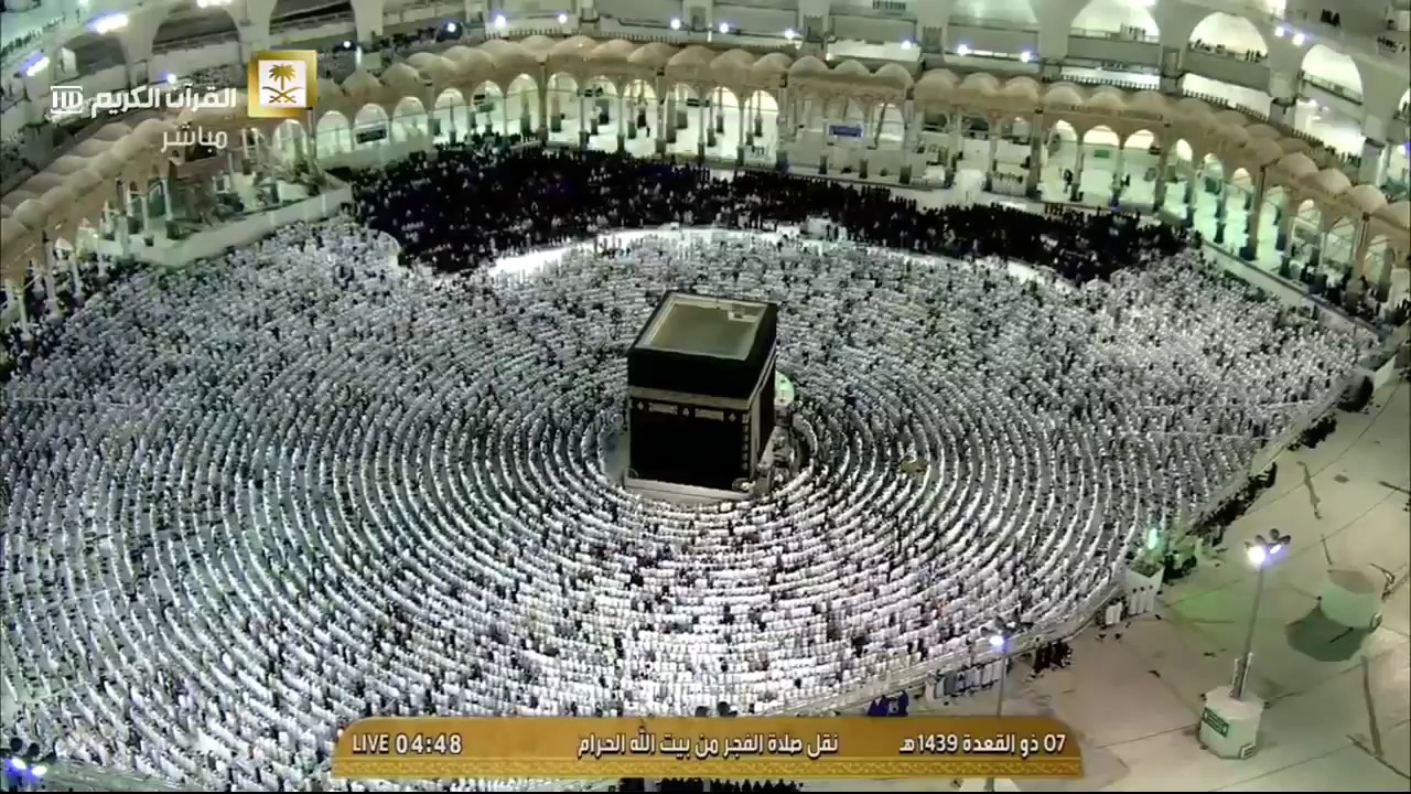 تلاوة روحانية هادئة للشيخ بندر بليلة من سورة القصص 7-11-1439هـ