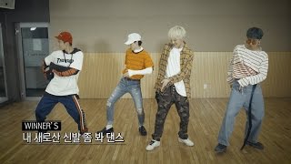 Vignette de la vidéo "WINNER - 'REALLY REALLY' DANCE TUTORIAL"