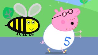 Peppa Pig Français 💚 La Course Rigolote ! 💚 Épisodes Complets | Dessin Animé Pour Bébé