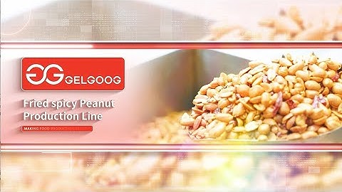 Spicy Peanuts Processing Equipment / Peanut Frying Machine