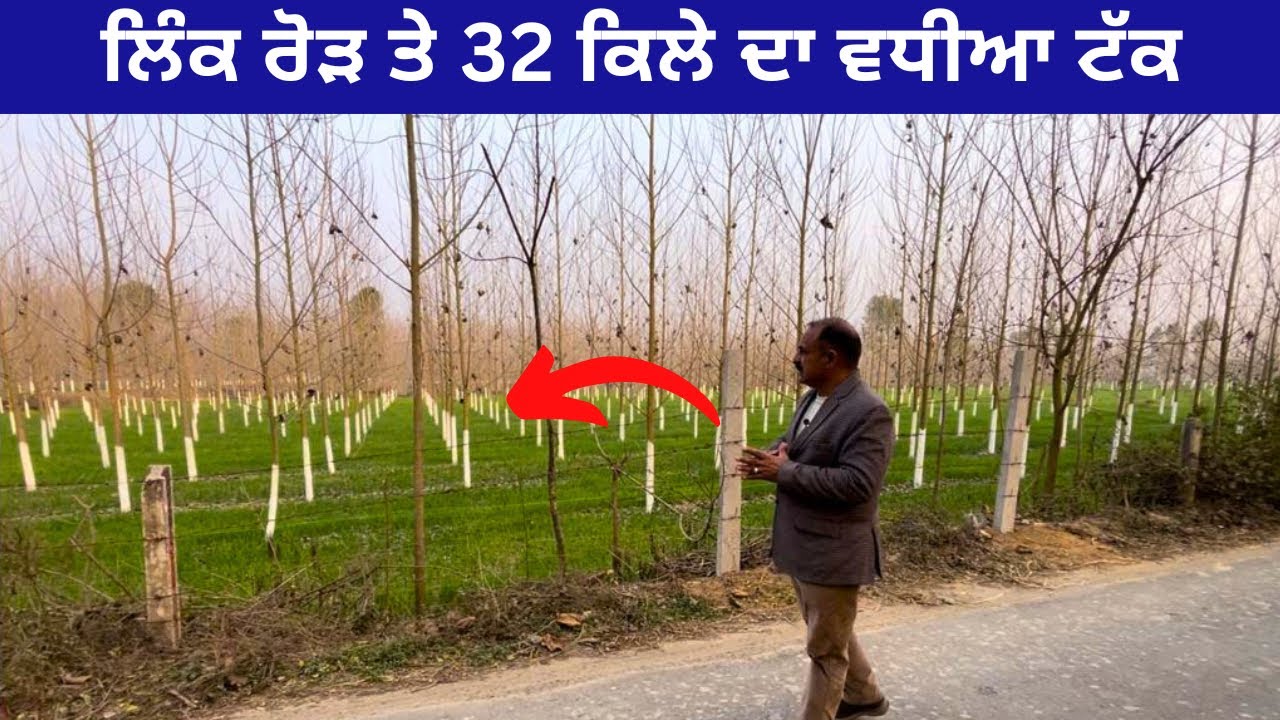 ਹੁਸ਼ਿਆਰਪੁਰ ਵਿੱਖੇ 32 ਕਿੱਲੇ ਦਾ ਟੱਕ ਵਿਕਾਉ🤩 । 32 acres of land for sale in Hoshiarpur Punjab